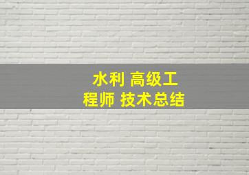 水利 高级工程师 技术总结